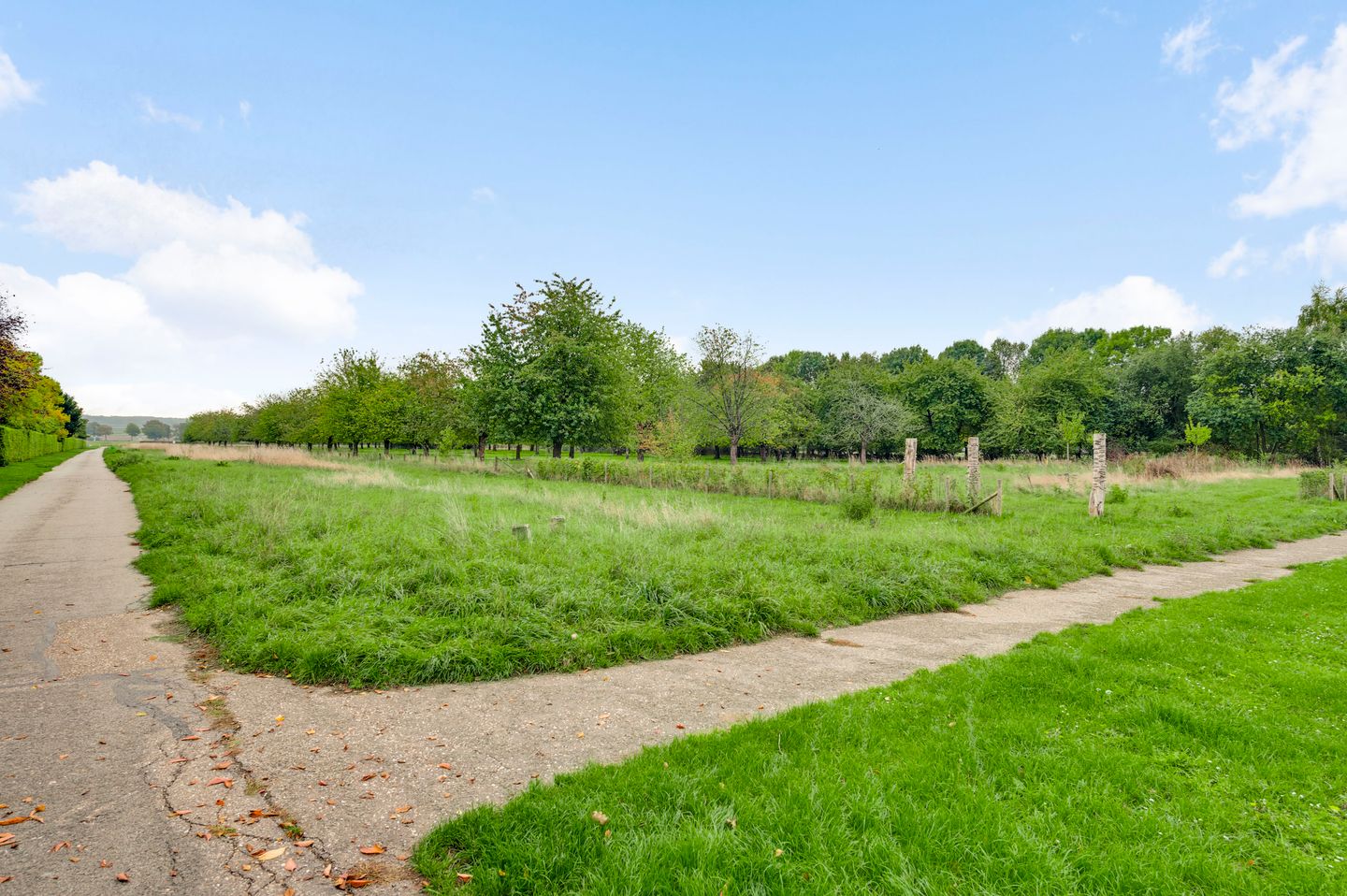 Foto 20 van Schovenlaan 102