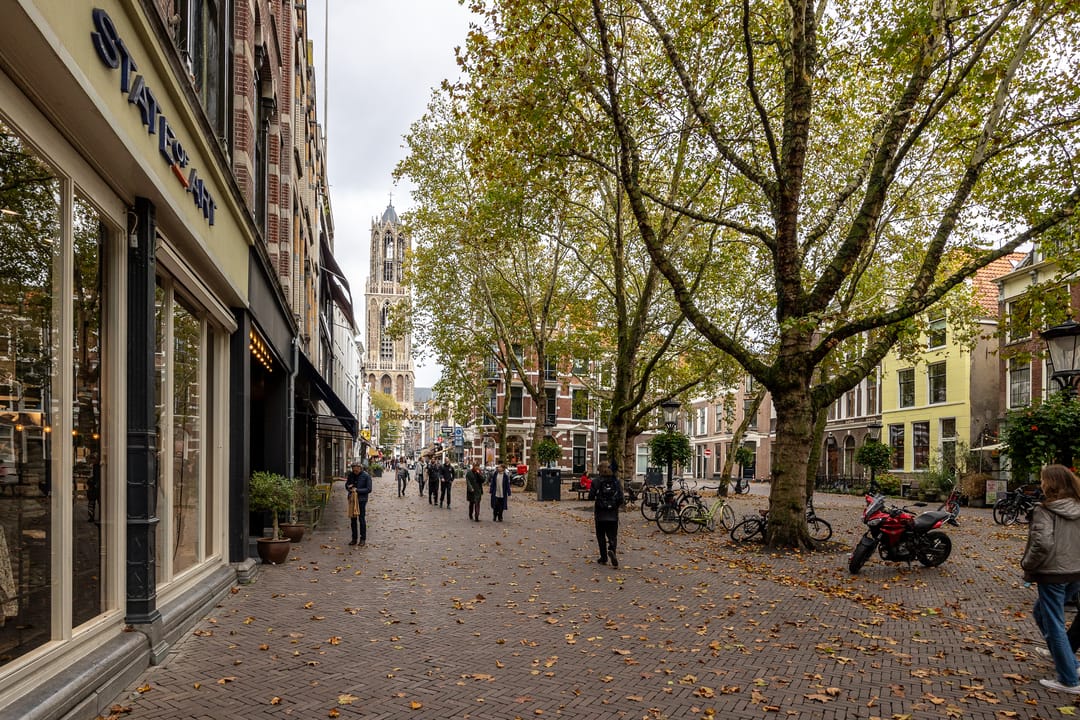 Foto 26 van Hamsteeg 17-A