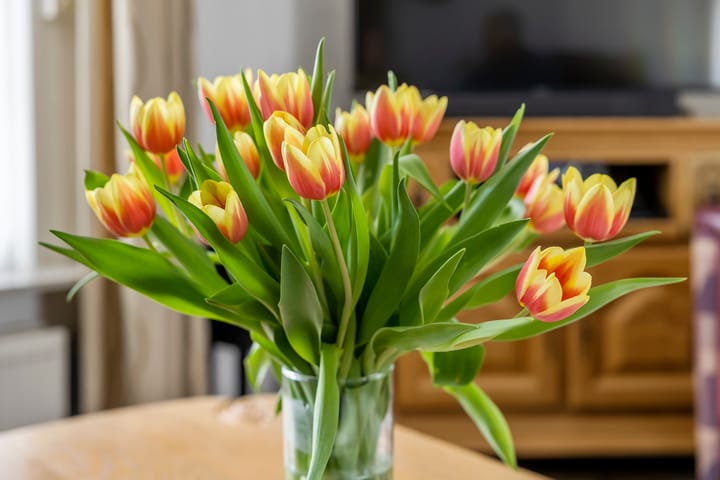 Foto 6 van Wetering 1