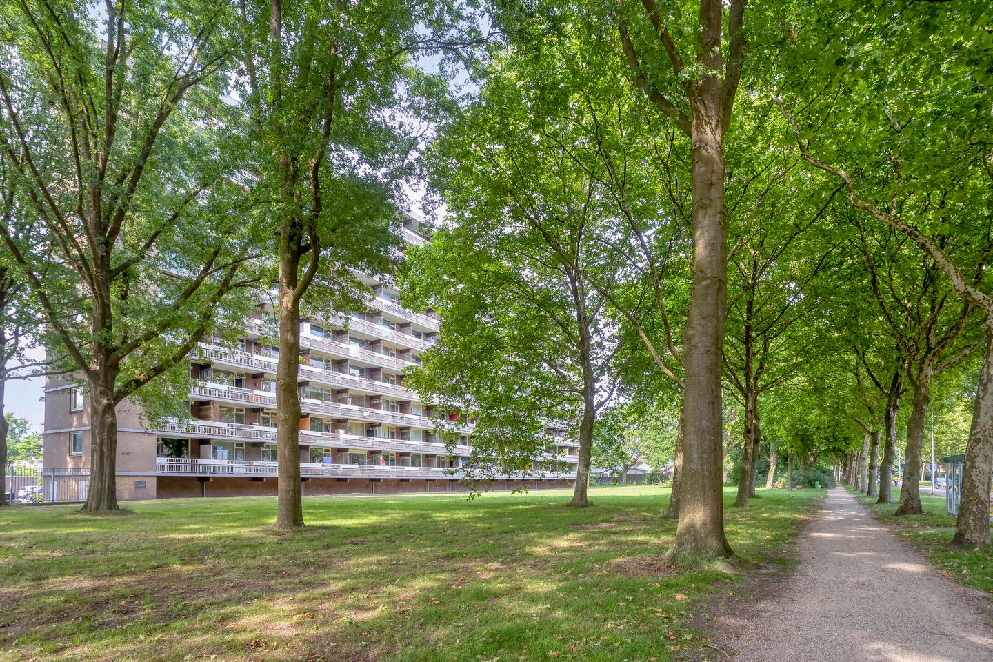 Foto 14 van Lisztgaarde 278