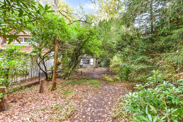 Foto 11 van Professor van Reeslaan 3