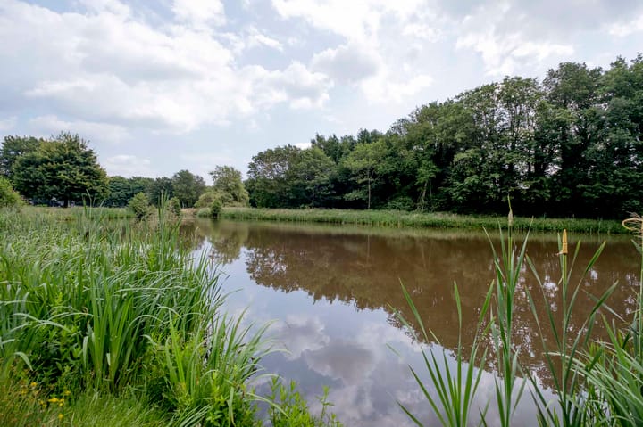 Foto 31 van Jacob van Ruysdaellaan 7