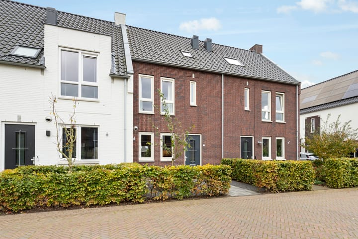 Photo 36 of Mispel 5