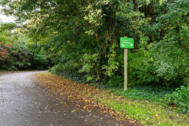 Foto 43 van Rozengaard 18 37