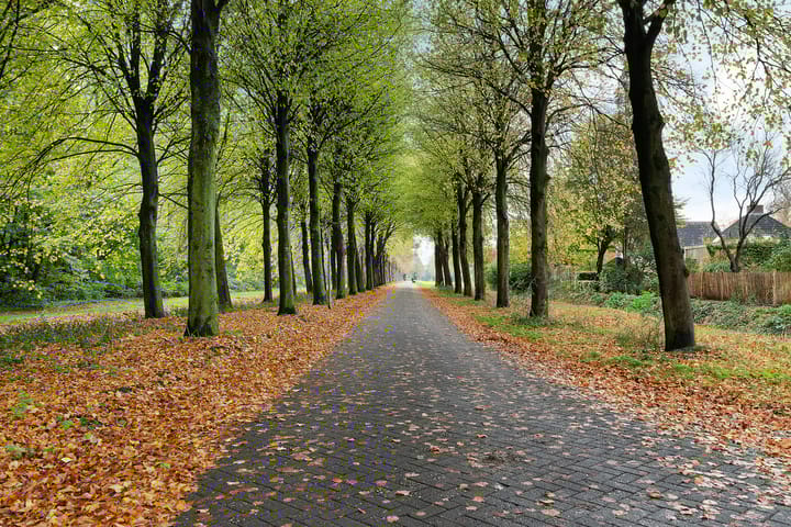 Foto 44 van Rozengaard 18 37