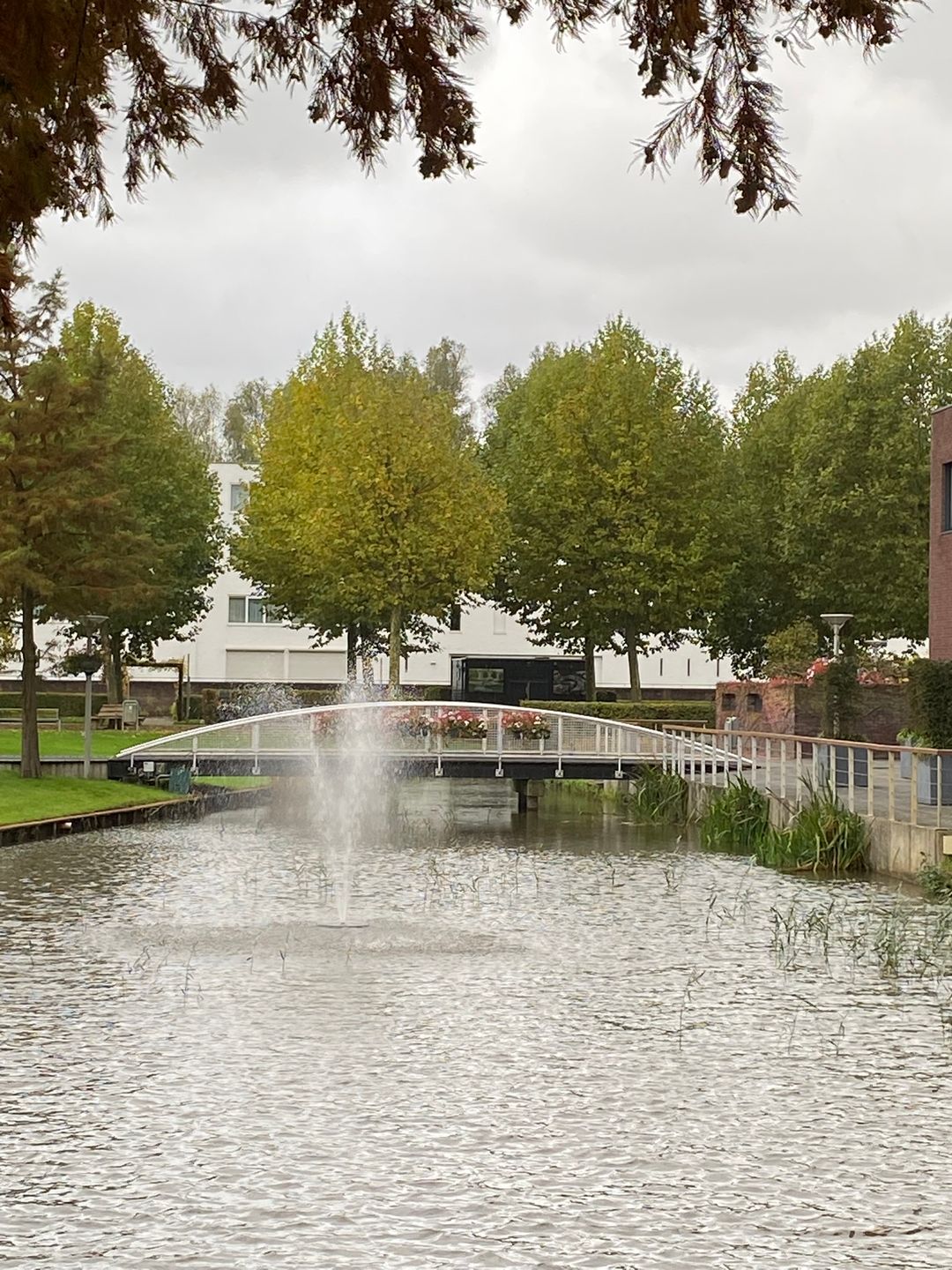 Foto 32 van Laan van Europa 175