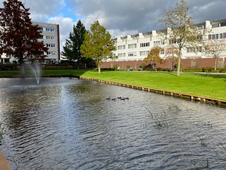 Foto 35 van Laan van Europa 175