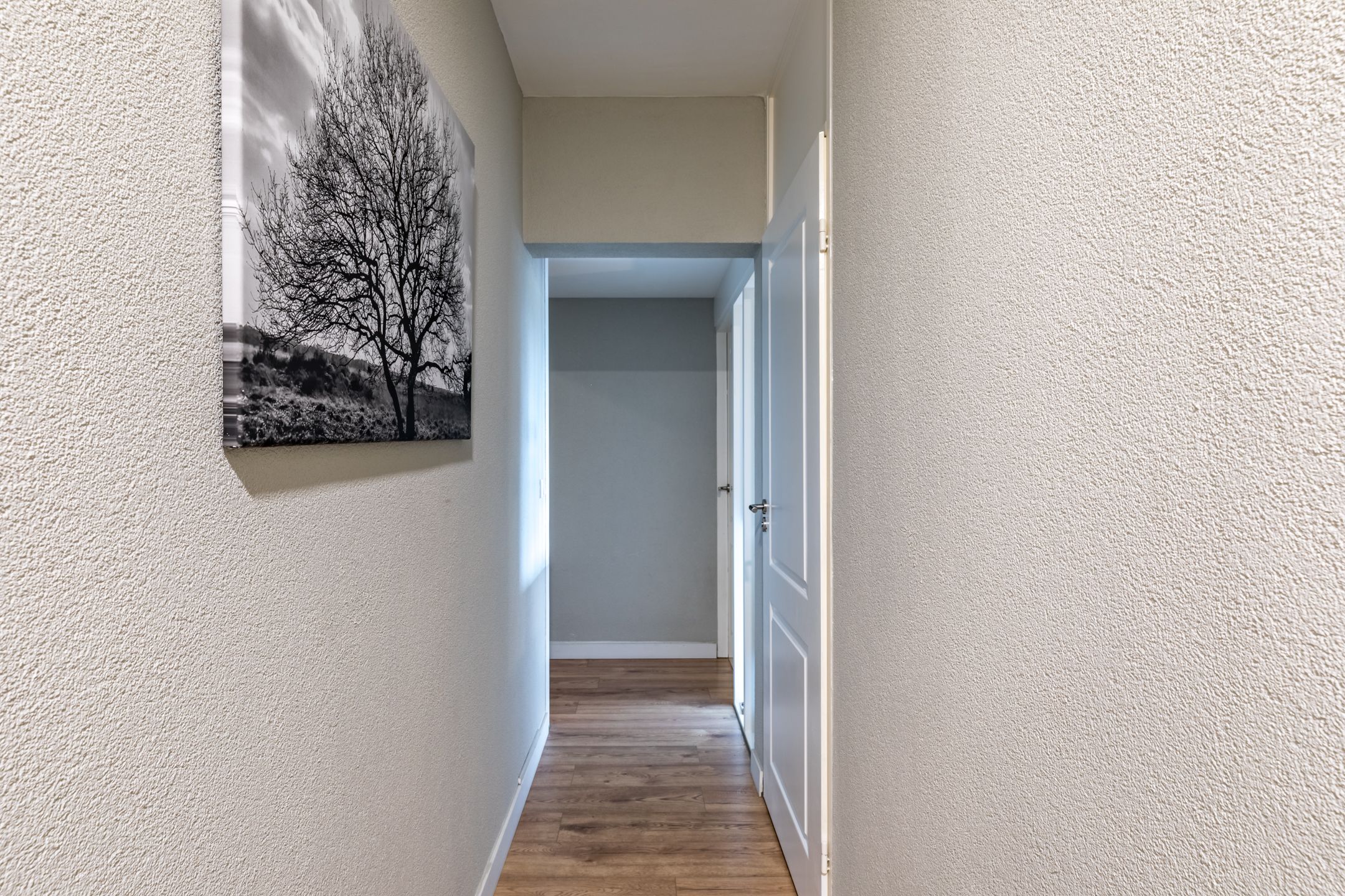 Foto 12 van Nieuwveld 22