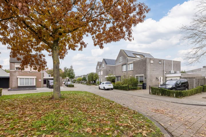 Foto 36 van Duiker 11