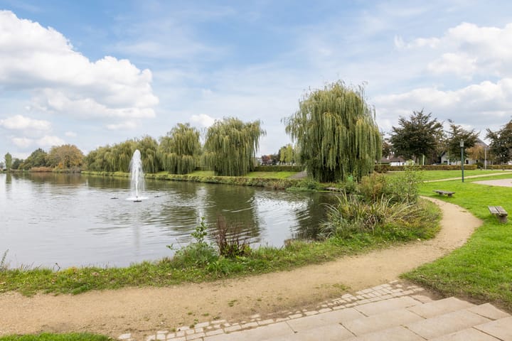 Foto 37 van Duiker 11