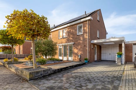 undefined main image