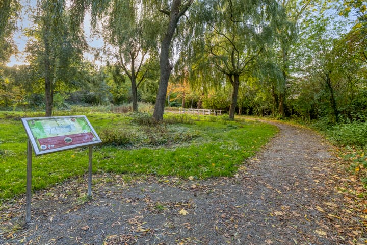 Photo 56 of Reelaan 20