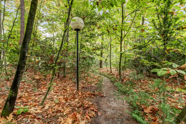 Foto 51 van Jacob Catslaan 23