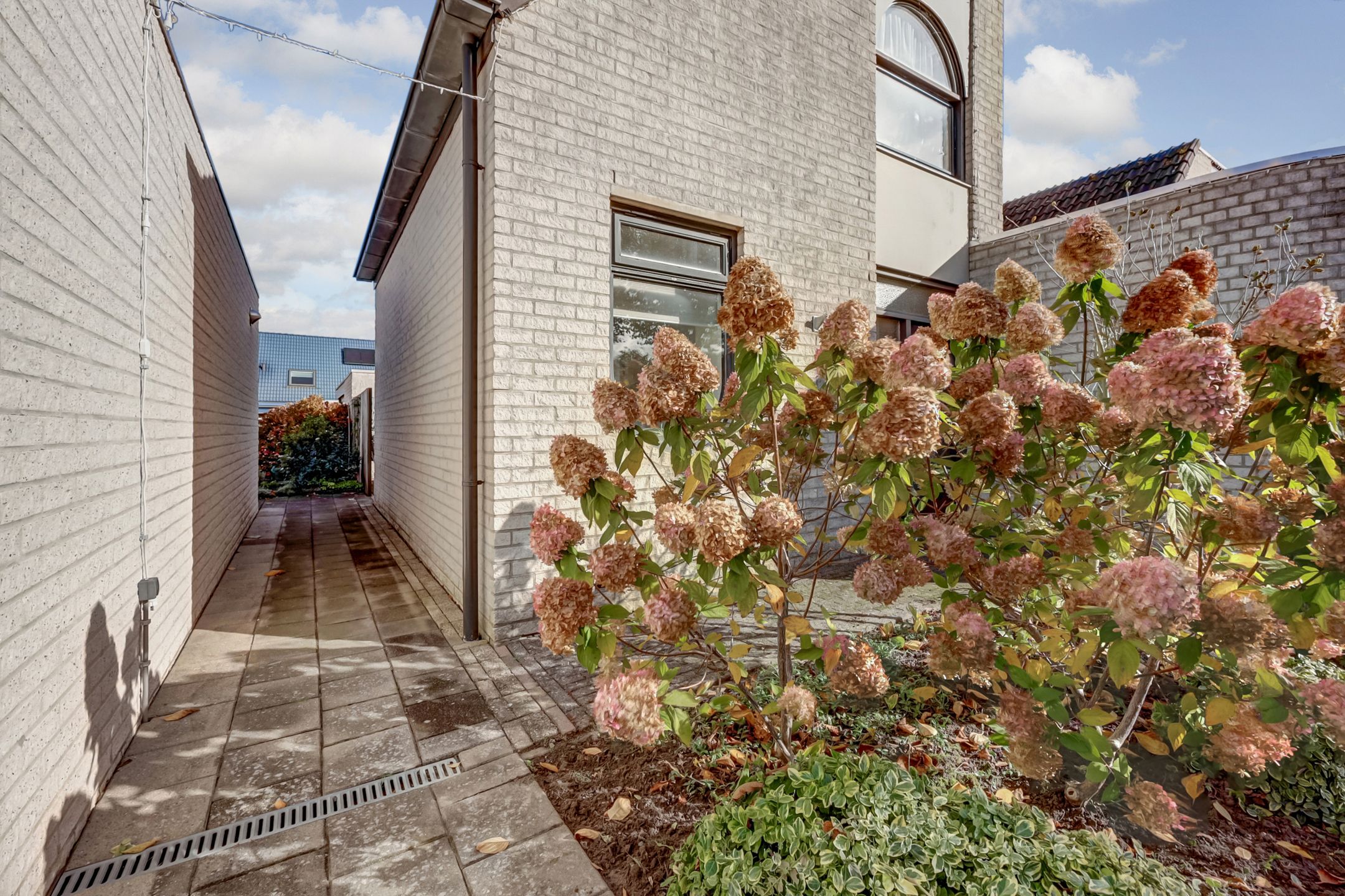 Photo 33 of De Hooiberg 16