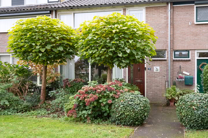 Photo 2 of Patrijslaan 74