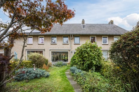 undefined main image