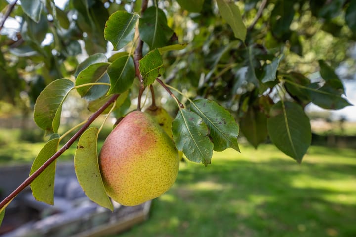 Photo 47 of Hoofdweg 103