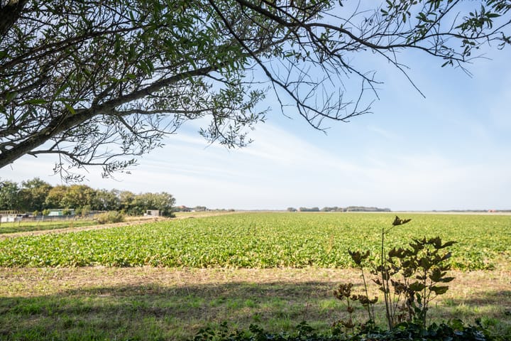 Photo 48 of Hoofdweg 103