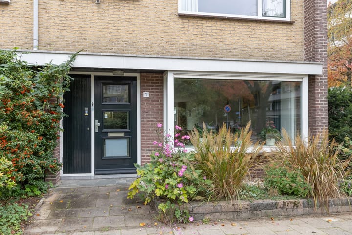 Foto 7 van Fruinplantsoen 1