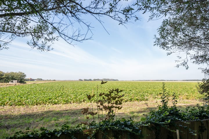 Photo 55 of Hoofdweg 103