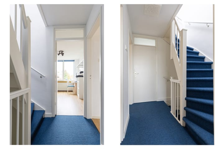 Foto 25 van Fruinplantsoen 1