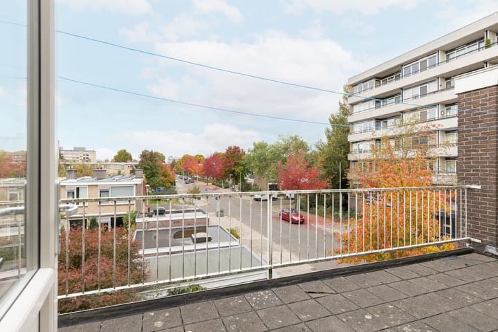 Foto 38 van Fruinplantsoen 1