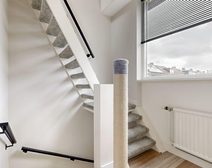 Foto 16 van Johan Frisostraat 20