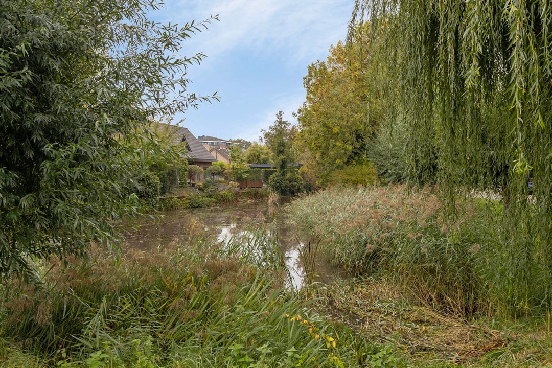 Foto 47 van Bareel 33