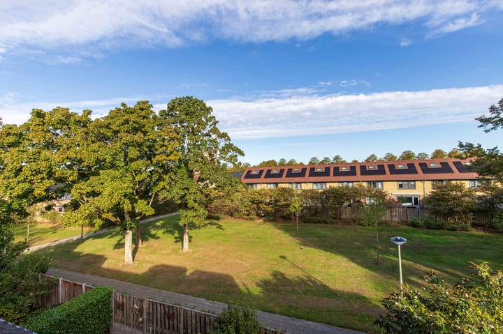 Foto 38 van Odiliadonk 38