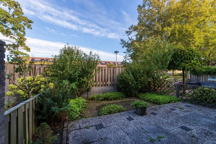 Foto 40 van Odiliadonk 38