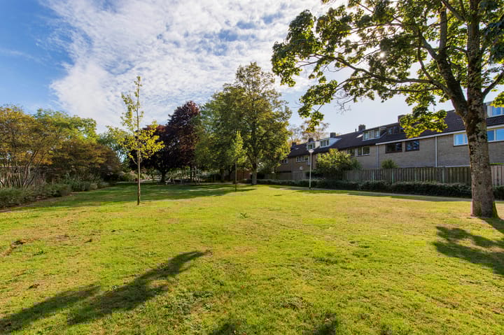 Foto 44 van Odiliadonk 38