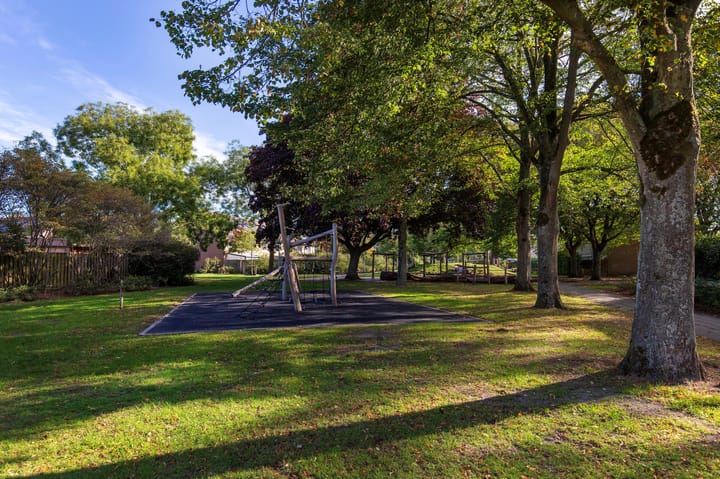 Foto 45 van Odiliadonk 38