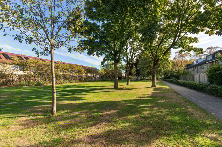 Foto 46 van Odiliadonk 38