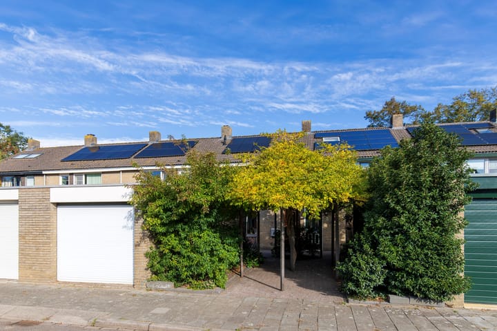 Foto 47 van Odiliadonk 38