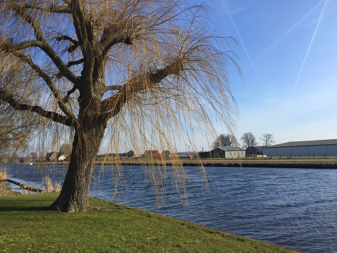 Foto 38 van Dr. Schaepmanlaan 78