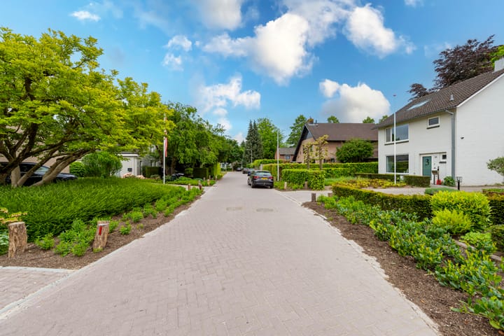 Photo 47 of Dr. Schaepmanstraat 9