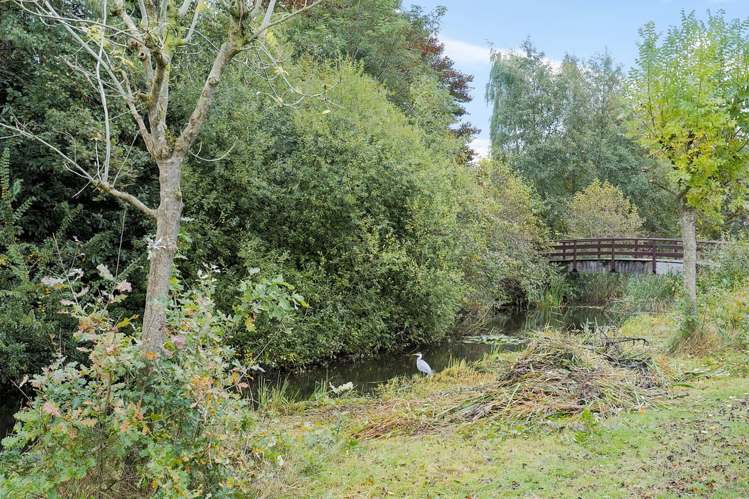 Foto 47 van Bongerd 28