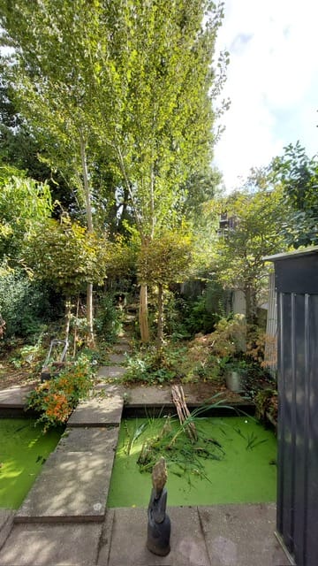 Foto 44 van Stieltjesstraat 10