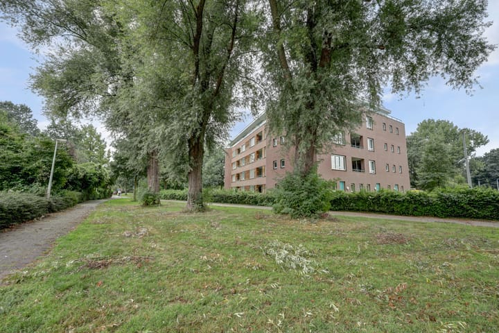 Foto 33 van De Stag 106