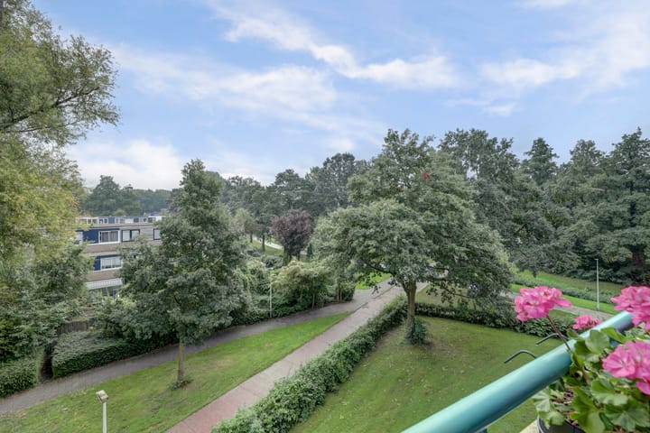 Foto 25 van De Stag 106