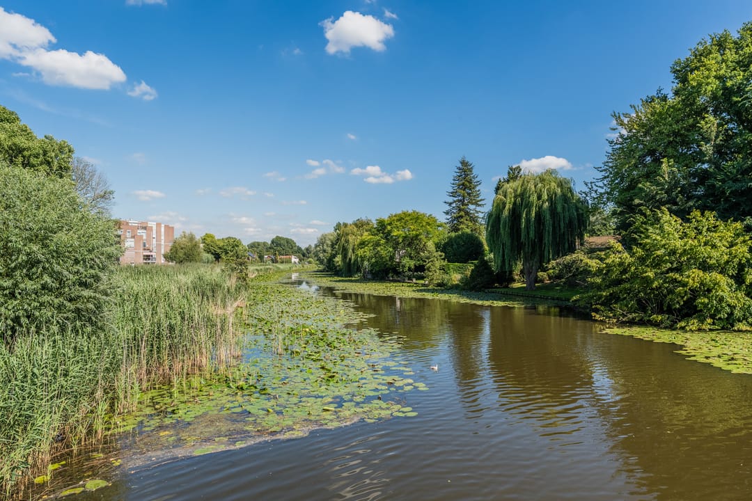 Photo 38 of Beethovenlaan 216