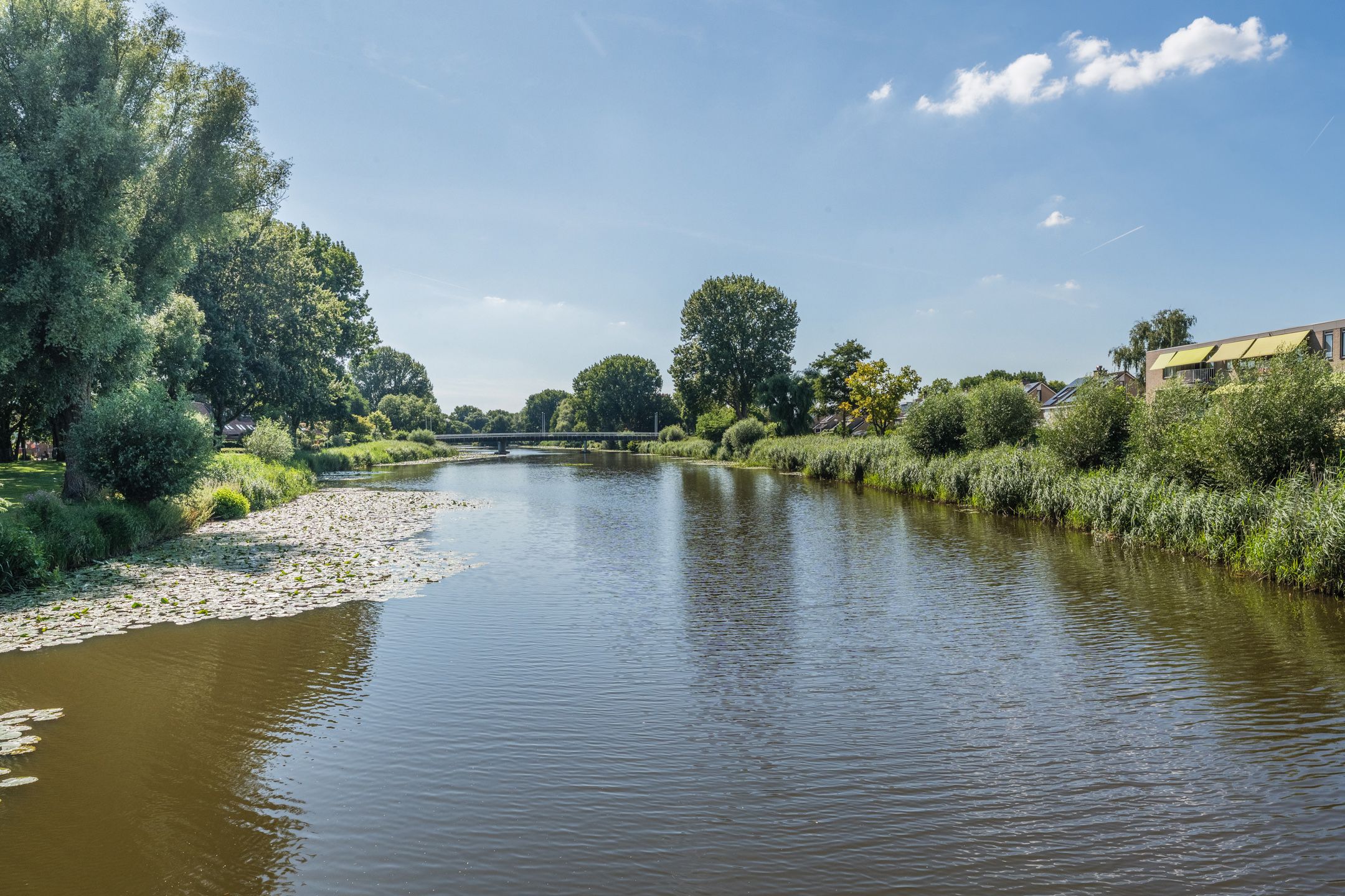 Photo 39 of Beethovenlaan 216