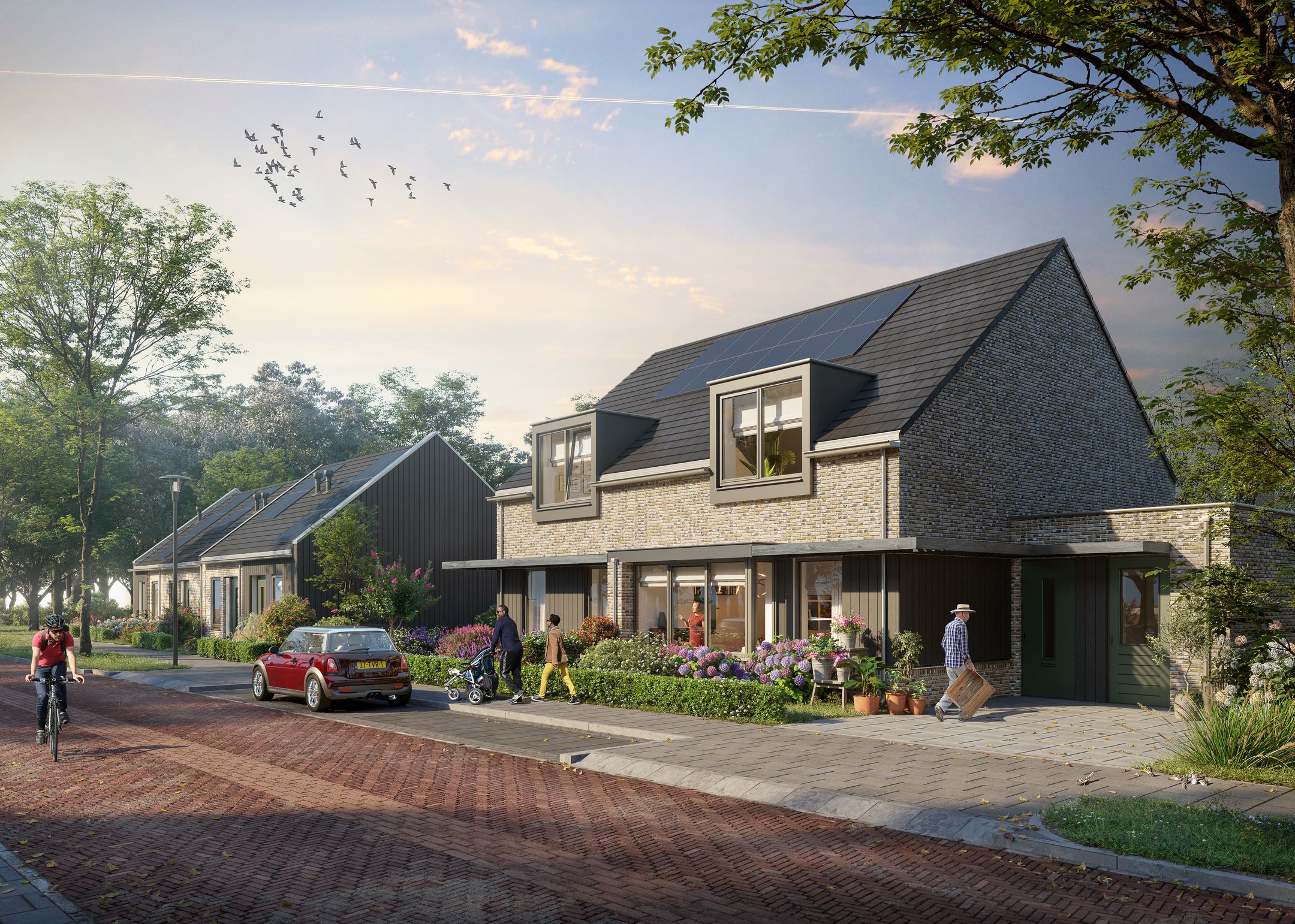 Photo 8 of GEHUCHT ZUID | Fase 1