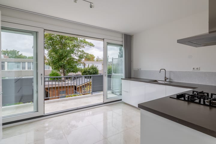 Foto 3 van Zilverdistel 11