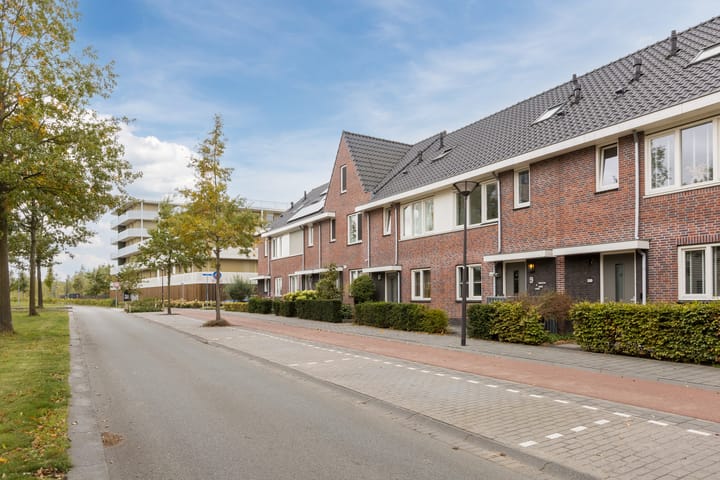 Photo 2 of Zuiderdreef 9