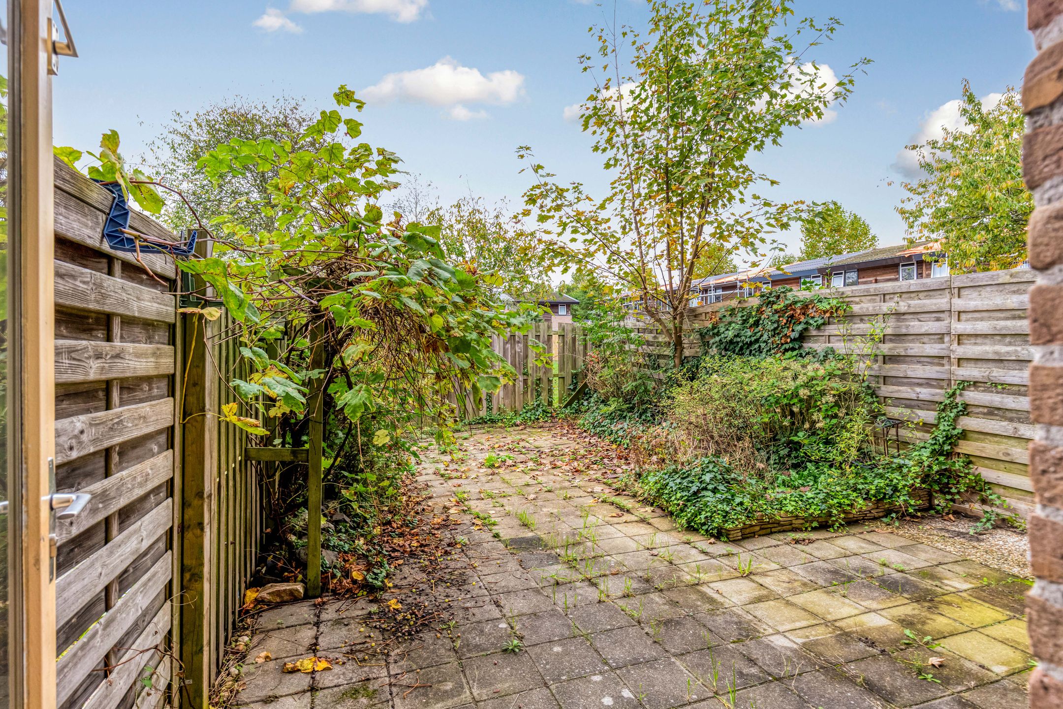 Photo 21 of Lavendelplantsoen 33