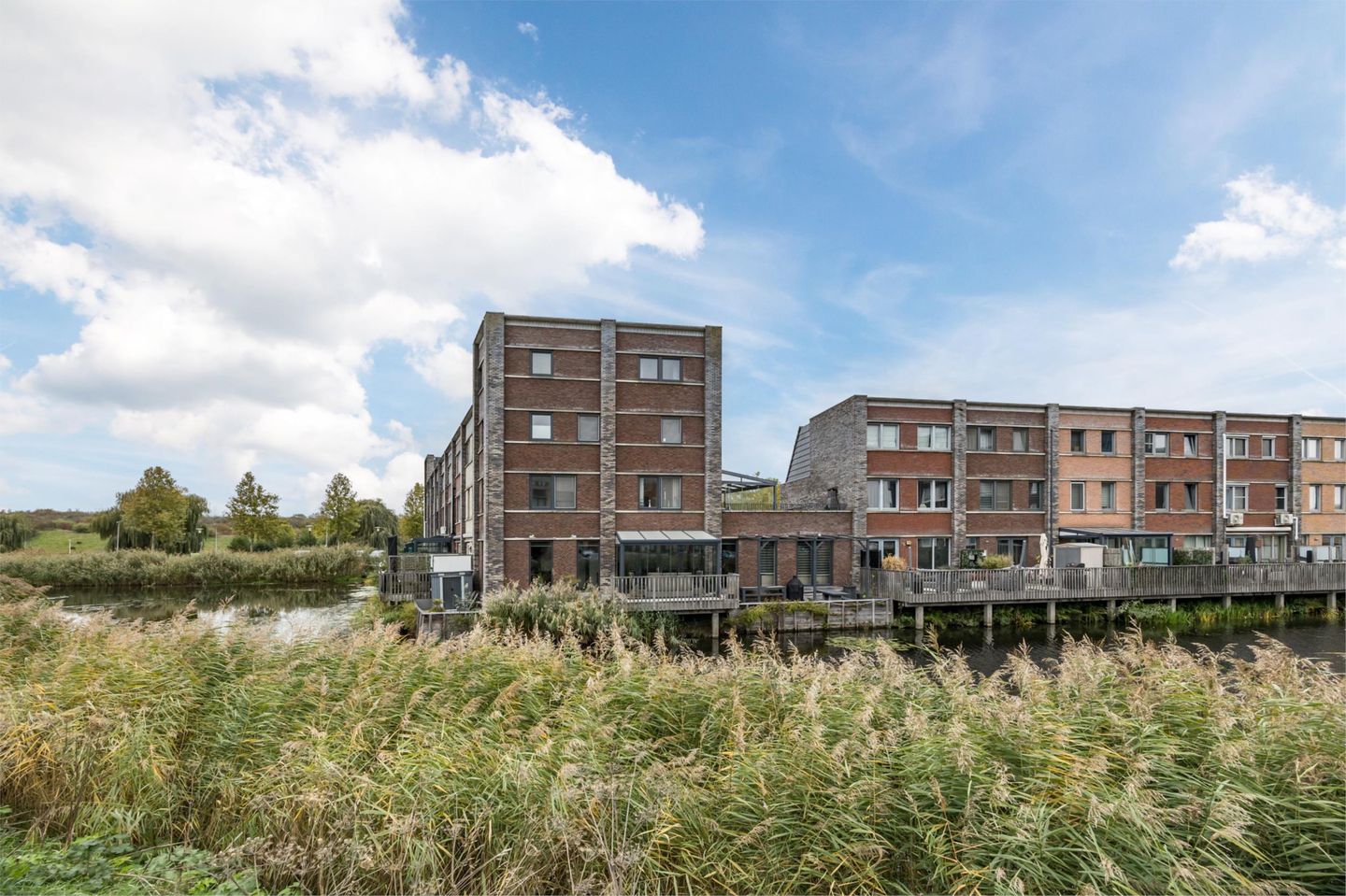 Foto 1 van Olijfhout 19