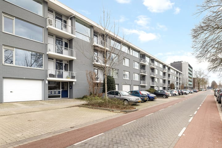 Photo 32 of Pisanostraat 416