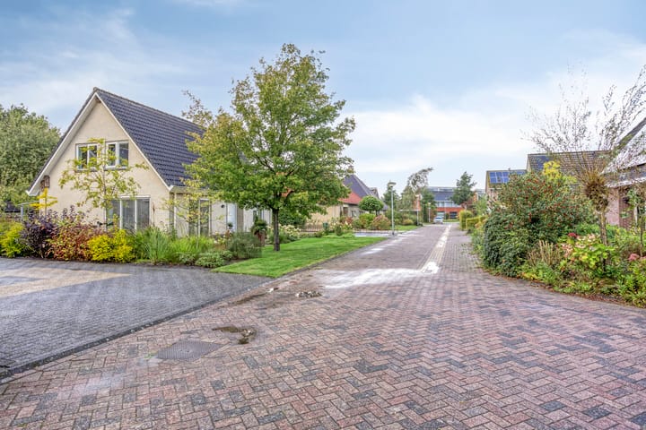 Photo 55 of Vanghout 21