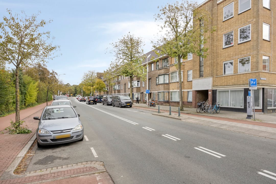 Foto 38 van Soestdijksekade 727